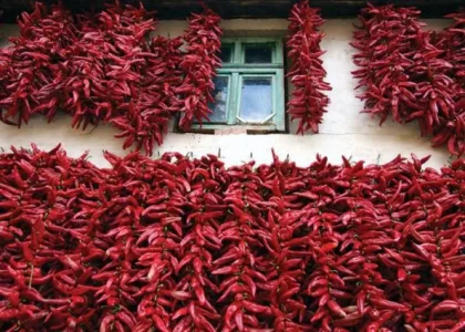قیمت خرید ادویه پاپریکا مرغوب + بررسی خواص و مزایای استفاده از آن قیمت خرید ادویه پاپریکا مرغوب + بررسی خواص و مزایای استفاده از آن