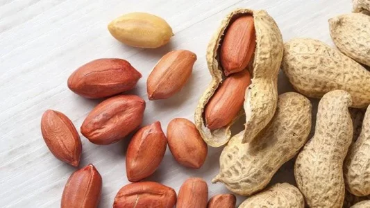 آشنایی با انواع بادام و خاصیت هر کدام + عکس