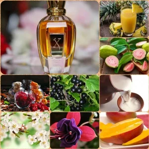 قیمت عطرهای زنانه ماندگار در تایمو شاپ قیمت عطرهای زنانه ماندگار در تایمو شاپ