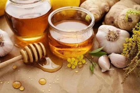 دمنوشات گیاهی مفید برای بهبود سیستم ایمنی بدن چیستند؟ دمنوشات گیاهی مفید برای بهبود سیستم ایمنی بدن چیستند؟