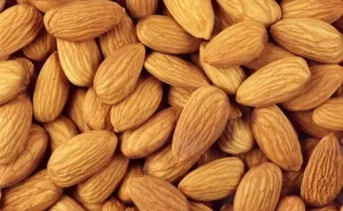 بهترین بادام درختی ایران کدام شهر است