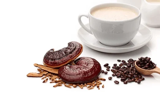 Properties of Ganoderma coffee