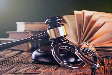 What is the concept of a criminal case
