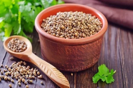 خواص دمنوش گشنیز برای لاغری