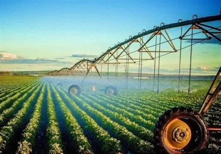 کارشناس رسمی دادگستری کشاورزی و منابع طبیعی کارشناس رسمی دادگستری کشاورزی و منابع طبیعی