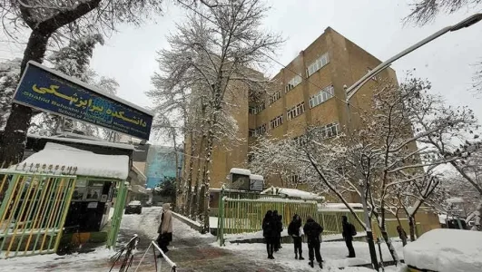 چگونه پیراپزشکان در بخش اورژانس به پزشکان کمک می کنند؟ توصیه برای مطالعه کتاب های پیراپزشکی
