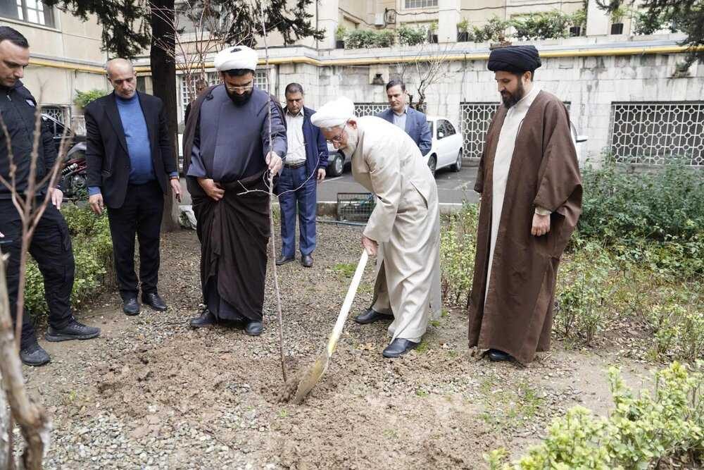 به جرایمی مانند زمین خواری و قلع و قمع درختان بدون مسامحه رسیدگی می کنیم