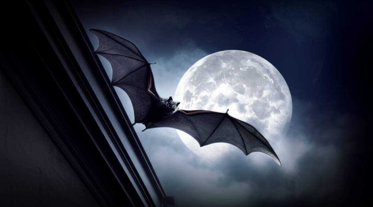 خلاصه کتاب خفاش شب اثر سیامک گلشیری - هر آنچه باید بدانید