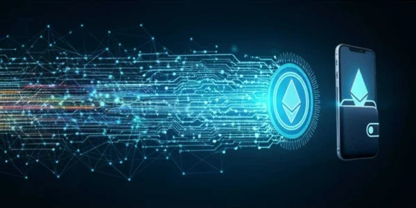نحوه انتقال ارز دیجیتال از صرافی به کیف پول | آموزش کامل