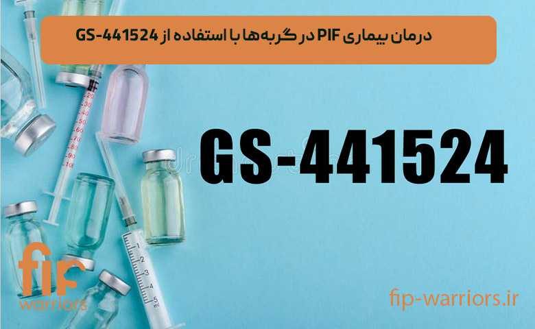 پروتکل های درمانی FIP در ایران: راهنمای جامع برای صاحبان گربه