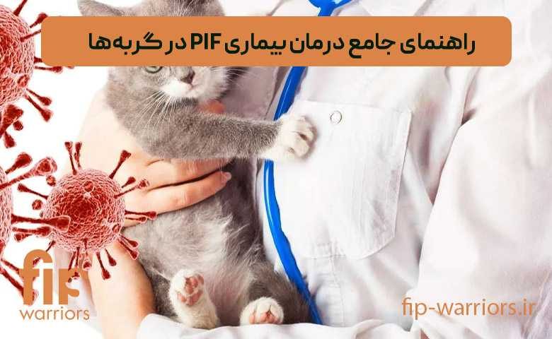 پروتکل های درمانی FIP در ایران: راهنمای جامع برای صاحبان گربه