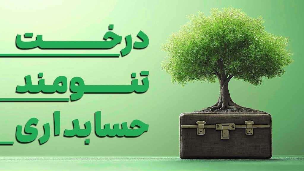گرایش های حسابداری چیست؟ انتخاب بهترین گرایش حسابداری بر اساس نوع شخصیت افراد
