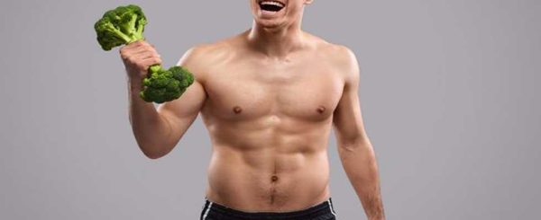 خرید آنلاین و دسترسی آسان به پروتئین گیاهی اورجینال