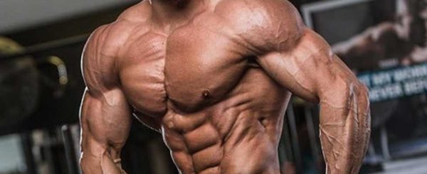 چگونه با پروتئین گیاهی عضله سازی کنیم؟ معرفی بهترین برندها