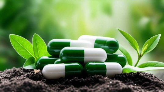 نقد و بررسی جامع منز فرتیلیتی بوست نیچرز پلنتی